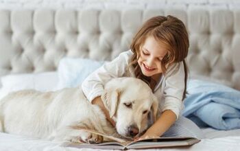 Study Shows Owning a Pet as a Child Leads to Career Success