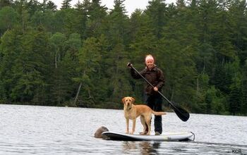 SUP: Stand Up Paddle Boarding With Your Dog