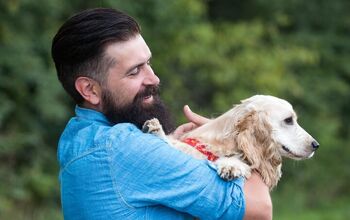 Survey Suggests People With Pets Happier Since the Pandemic