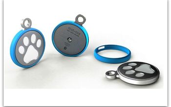 Tag, You’re It! Play-tag Is The Smart ID System For Wanderlust Dogs