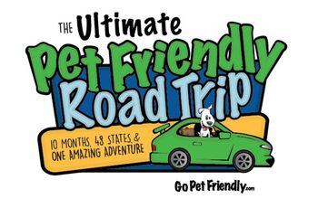 Take The Ultimate Pet Friendly Road Trip With GoPetFriendly.com