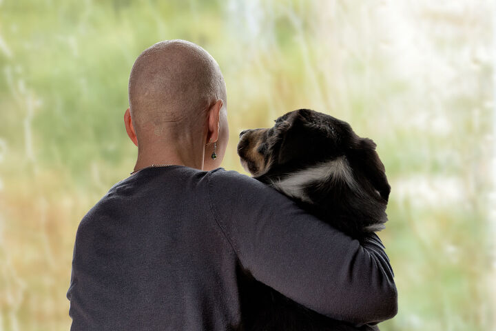 terminally ill man s last wish is to find a new home for his dog, Gerald Mercier Shutterstock