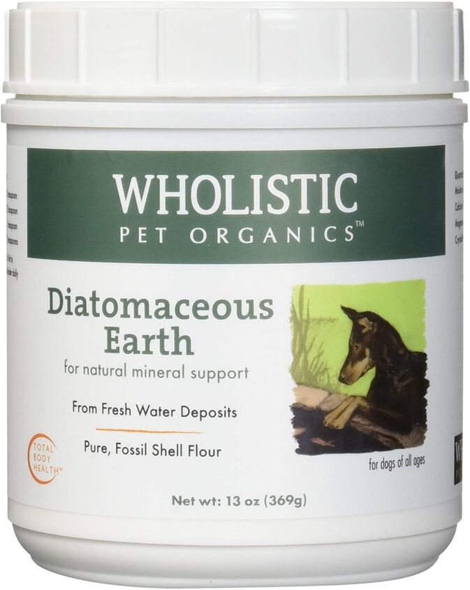 the benefits of diatomaceous earth for dogs