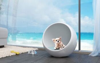 The Coolest (Or Warmest) Pet House You’ve Ever Seen