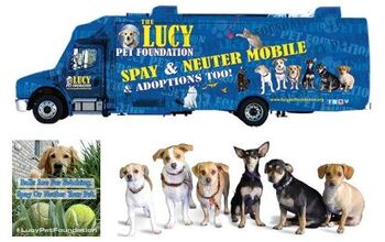 The Lucy Pet Foundation: Spaying And Neutering On The Go