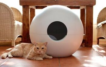 There’s a New (and Clever) Litter Box on Kickstarter Right Now