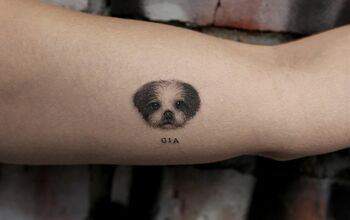 These 8 Adorable Pet Tattoos Will Tickle You Inked!