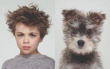 These Amazing Portraits Show Owners Look Like Their Dogs… Or Is It T