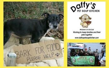 ‘Tis The Season For Giving – Daffy’s Pet Soup Kitchen Helps Pets