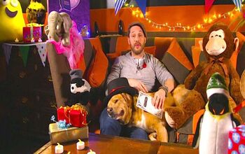 Tom Hardy Reading A Bedtime Story to His Dog Will Make You Melt [Video