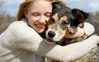 Top 10 Affectionate Dog Breeds