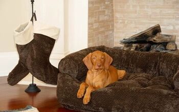 Top 10 Comfy Dog Beds