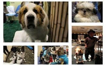 Top 10 Cutest Pets at Global Pet Expo