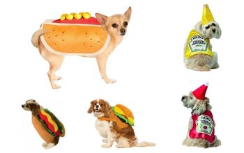 Top 10 Dogs Dressed Up Like Hot Dogs