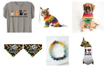 Top 10 Fabulous Pride Essentials For Dogs