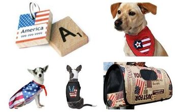 Top 10 Freedom Finds for Your Patriotic Pooch