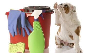 Top 10 Spring Cleaning Checklist for Pet Parents