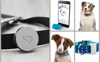 Top 10 Tech Accessories To Help Fido Get Fit