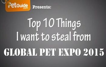 Top 10 Things I Want To Steal From Global Pet Expo 2015 [Video]