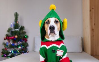 Top 10 Ugly Christmas Sweaters For Dogs