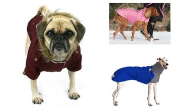 Top 10 Winter Coats For Dogs Of 2015/2016