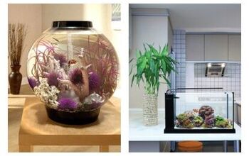 Top 8 All-In-One Aquariums