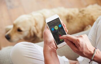 Top 8 Dog Safety Apps for Smart Pet Parents