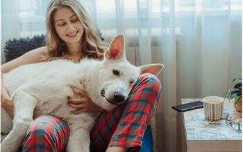 TrustedHousesitters: In-Home Pet Sitting You Can Count On