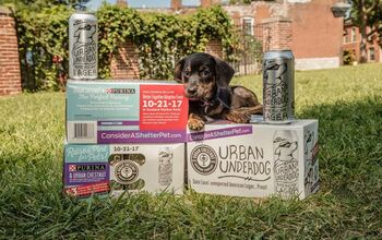 Urban Chestnut Brews Exclusive Beer to Encourage Pet Adoption