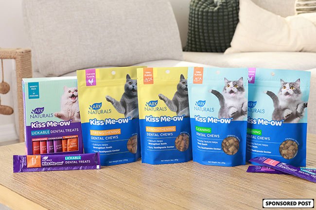 using innovative cat treats to help keep your pets teeth clean