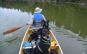 What I Did This Summer: Canine Canoe Adventure in Nova Scotia Part 3