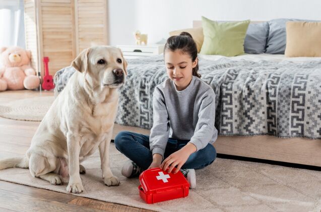 what should i include in a pet first aid kit, Photo credit LightField Studios Shutterstock com