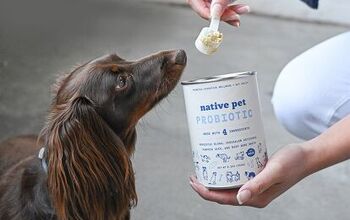 What The Gut?! Native Pet Probiotic Powder Tackles Tough Tummy Trouble