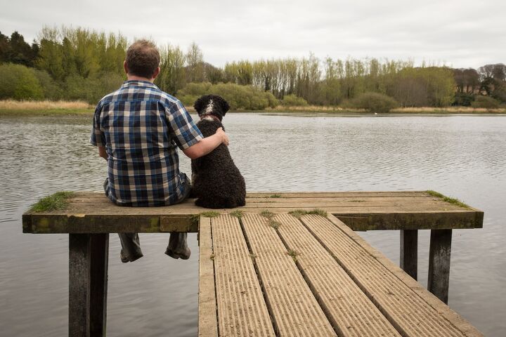 when to say goodbye to your dog a new survey sheds some light, Daz Stock Shutterstock