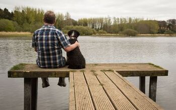 When To Say Goodbye To Your Dog? A New Survey Sheds Some Light