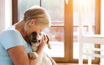 Why Kind Words Are Eternal to Your Pets