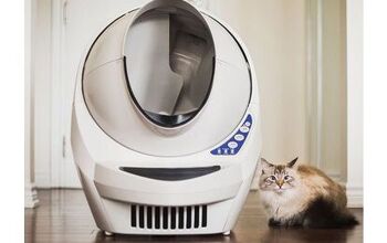 Why the Litter-Robot III Is the Last Litter Box You’ll Need