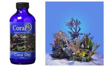 Why You Need To Dip Your Coral in Coral RX