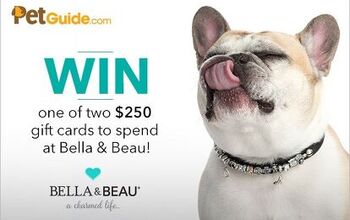 Win One of Two $250 Gift Certificates From Bella &#038; Beau