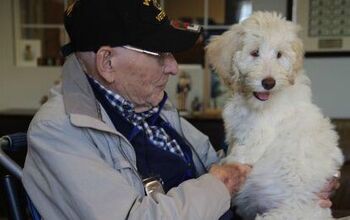 WWII Veteran Fights for Patriot PAWS With GoFundMe Campaign on 100th B