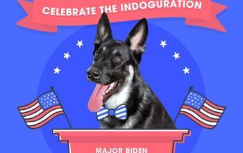 You’re Cordially Invited To The First Dog’s Indoguration!