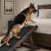 Best Dog Ramps for High Beds & Furniture