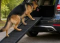 Best Dog Ramps for SUV