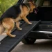 Best Dog Ramps for SUV