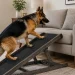The Ultimate Dog Ramp Guide